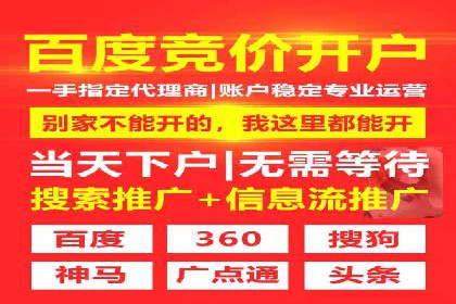 竞价广告赚钱案例：从新手到专家